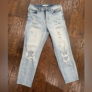Eunina Tobi High Rise Relaxed Crop Jeans Size 7